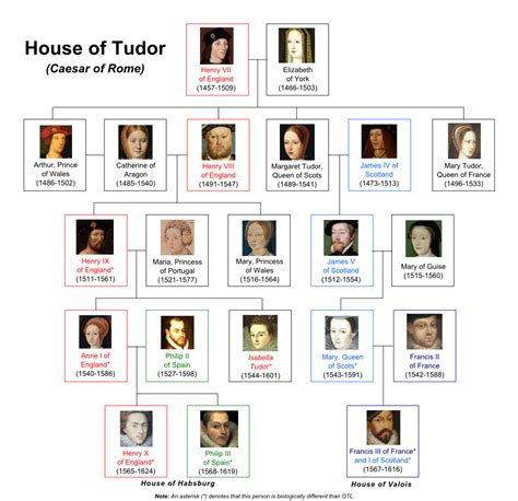 pallonata tudor|house of tudor kingdom.